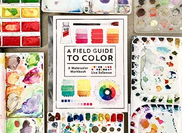 A field guide to color book by lisa solomon