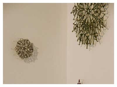 lisa solomon art - topiary doilies