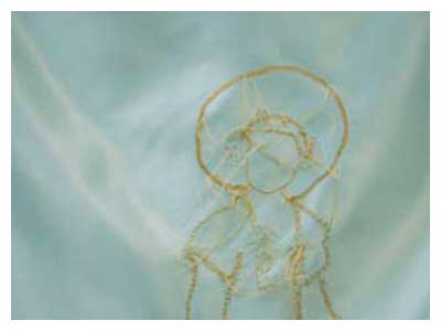 lisa solomon art - Notions of Lineage embroidery portrait