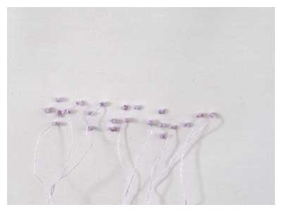 lisa solomon art - wisteria