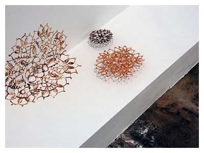 lisa solomon art - doily installation - over the river and through the woods - Little Bird Gallery
