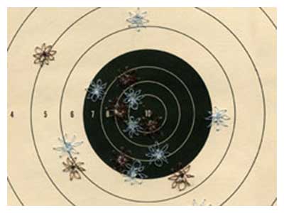 lisa solomon art - rifle target - mended - blue and brown long tailed daily stitch