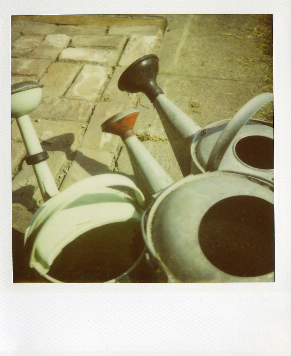 polaroid watering cans