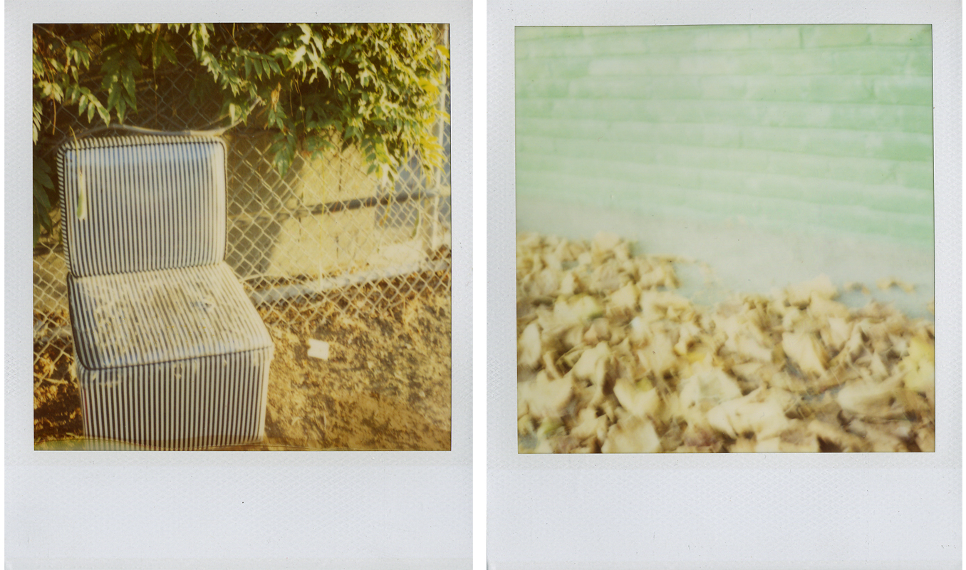 polaroid chair and leaves