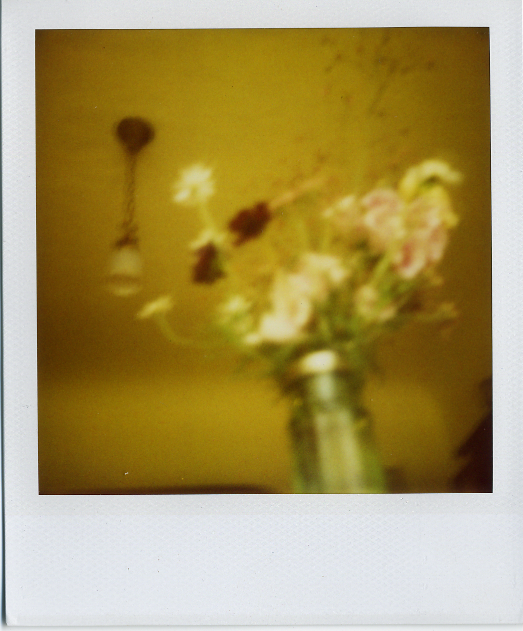 polaroid flowers with a victorian feeling