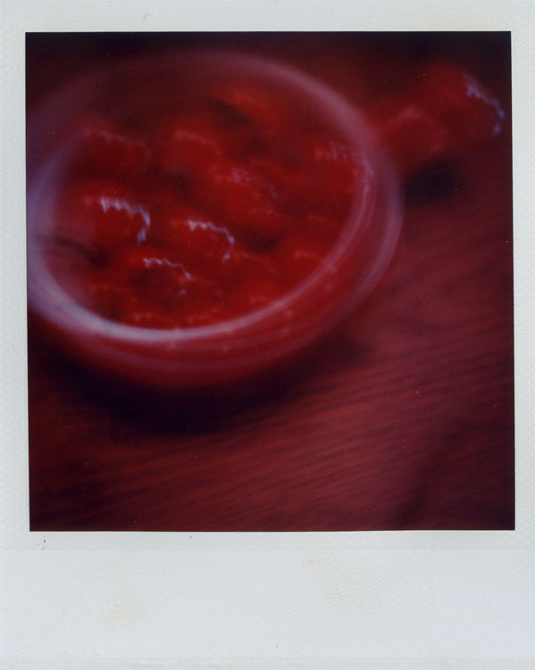 polaroid bowl of tomatoes