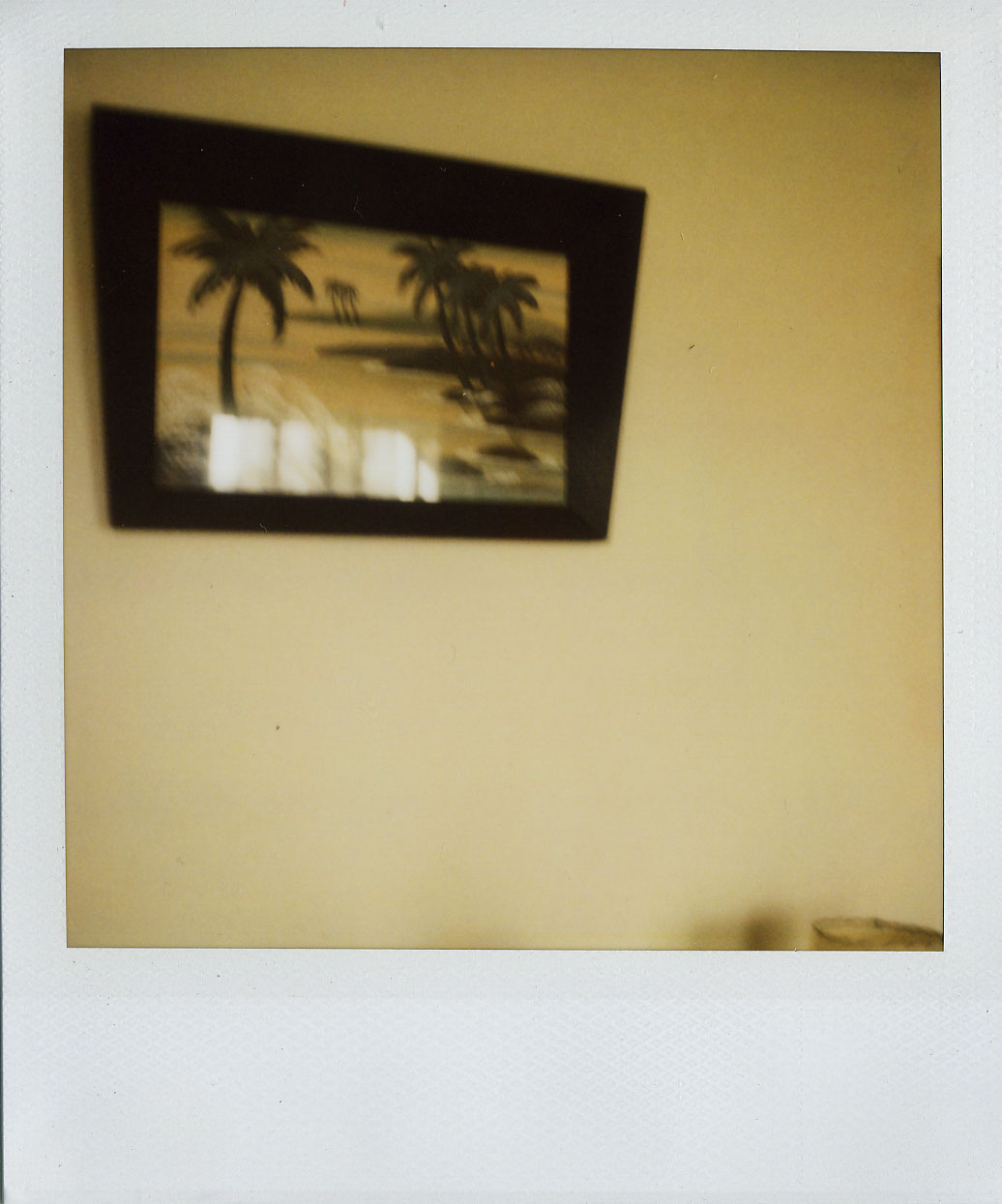 polaroid palm tree painting