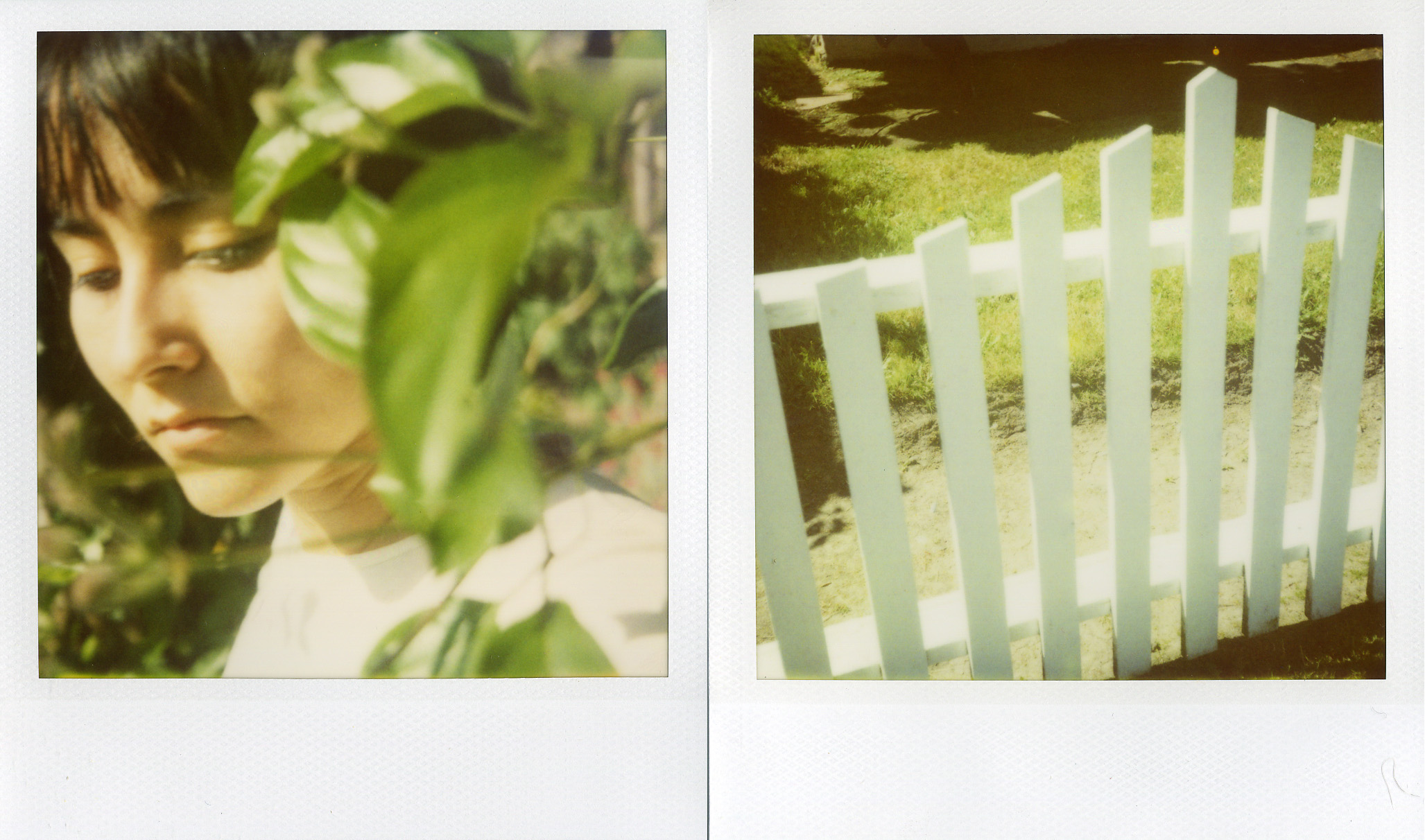 polaroid me and white pickett fence