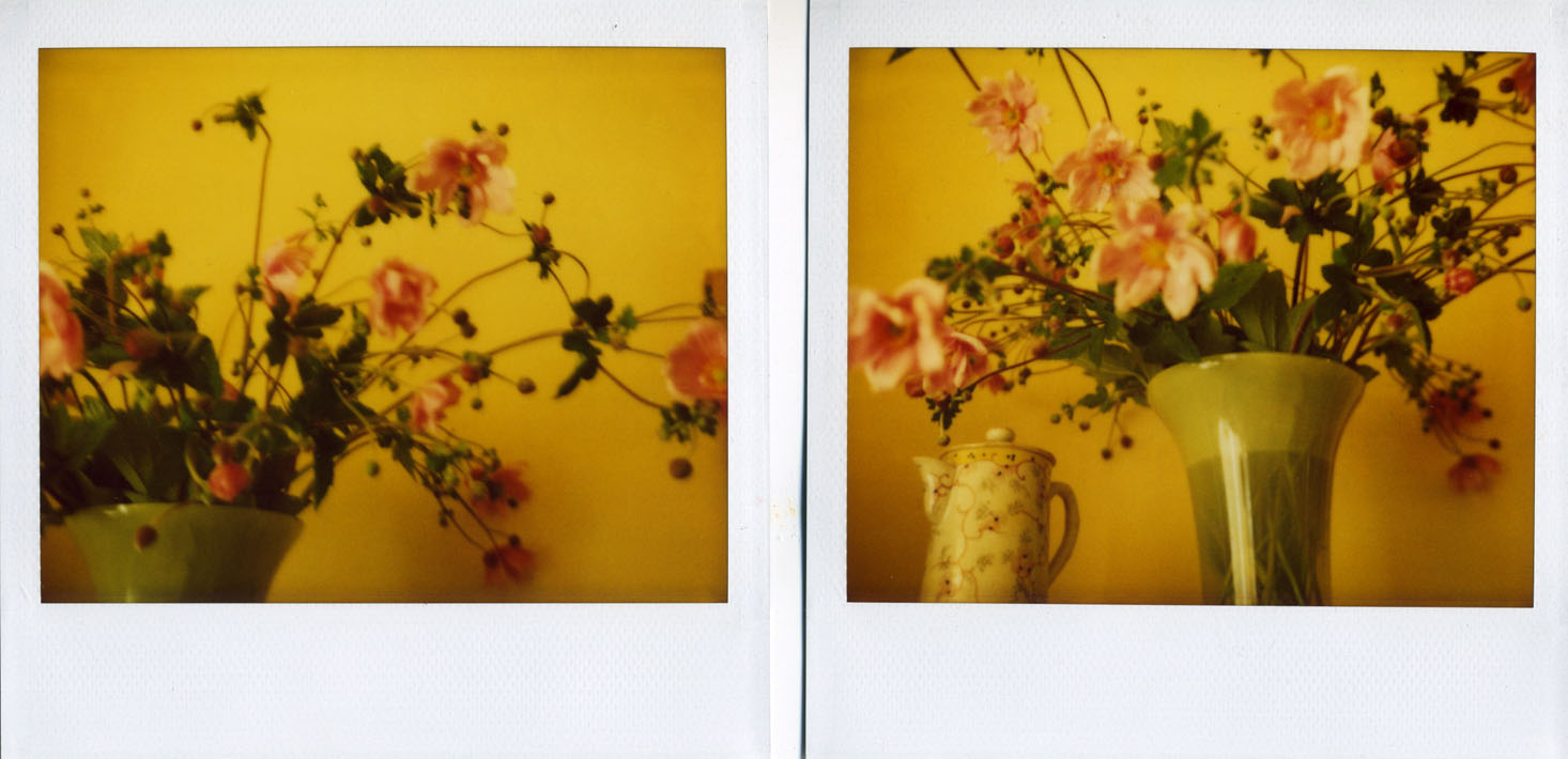 polaroid pink bouquets