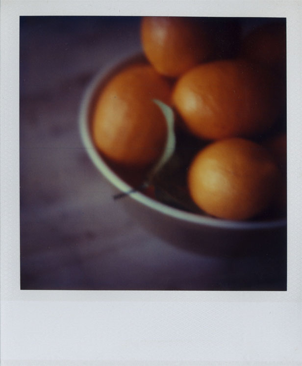 polaroid sweet oranges