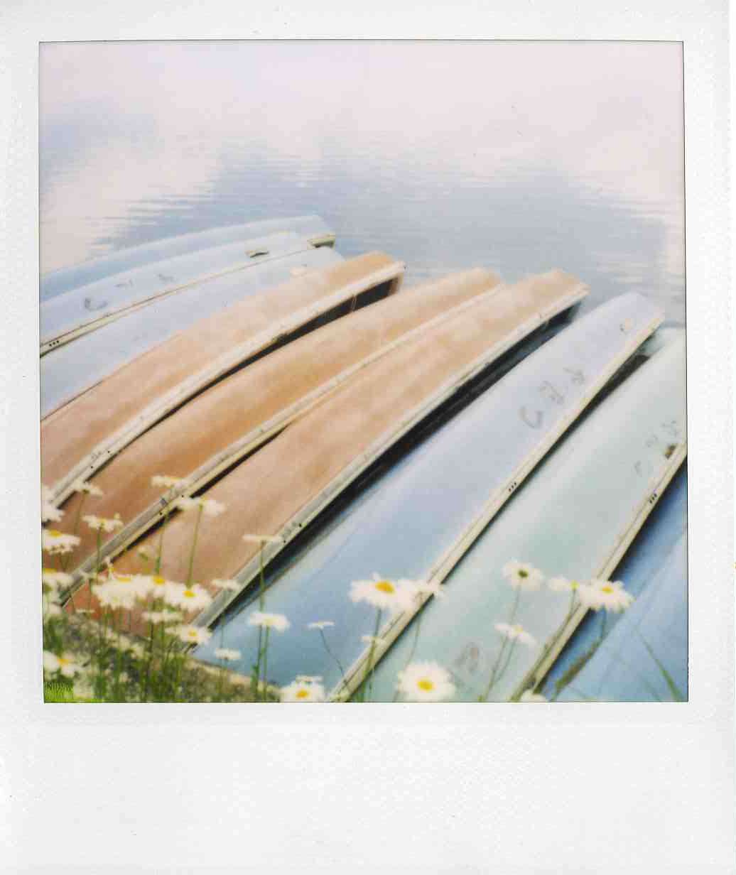 polaroid boats and daisies in japan