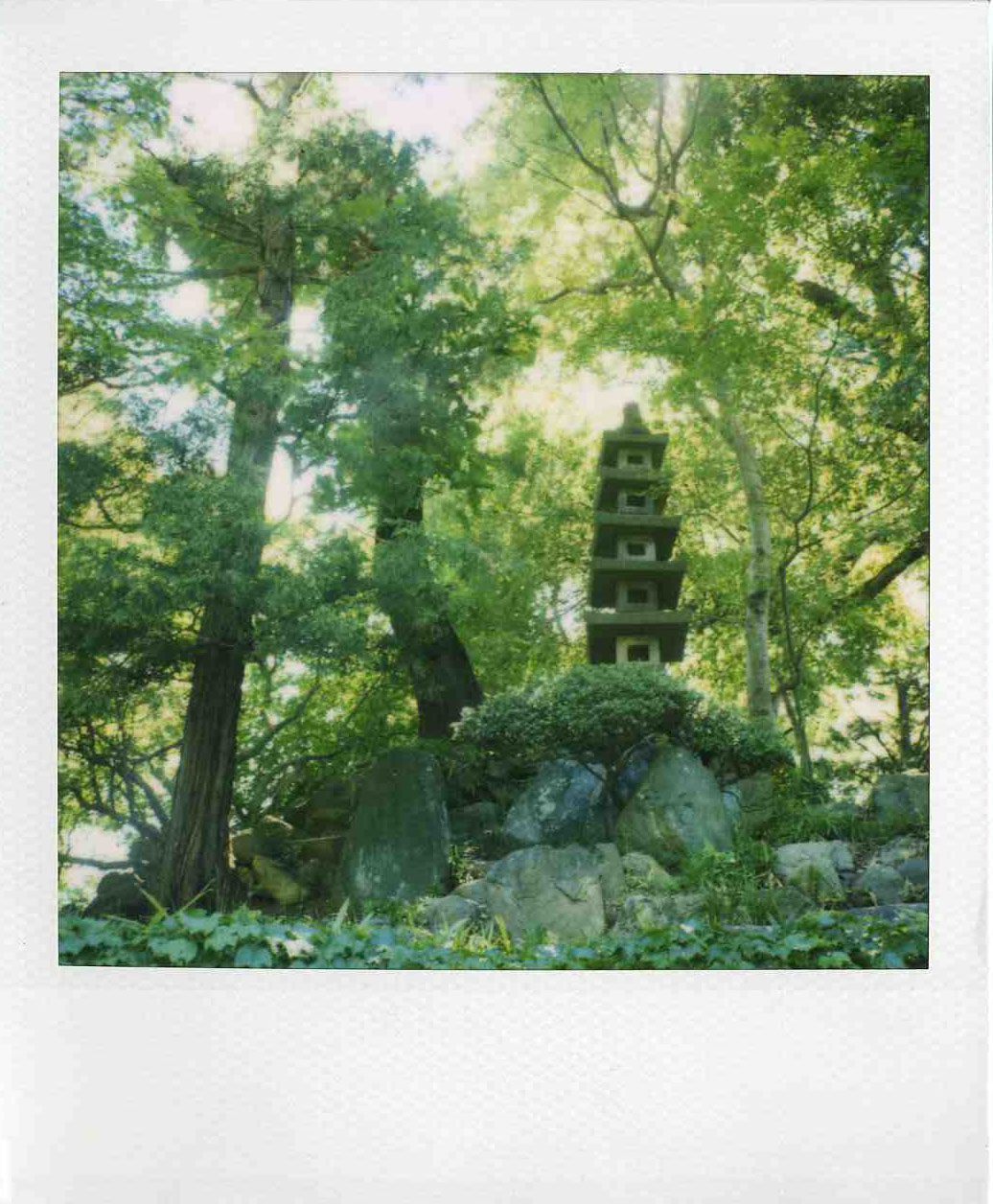 polaroid pagoda
