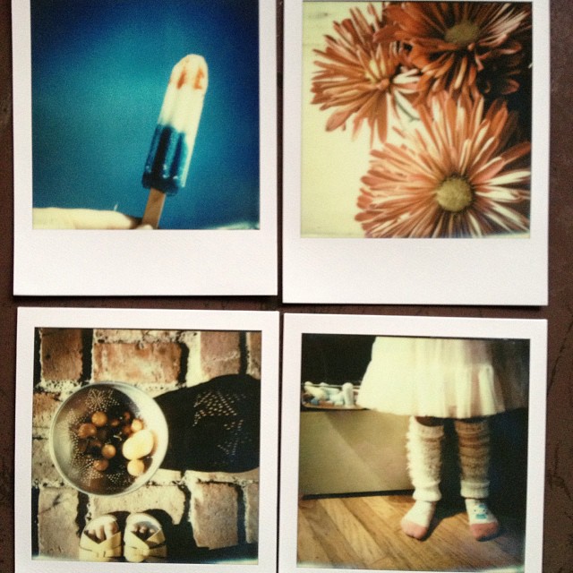 polaroid rocket popsicle + asters + feet and crop + ballerina 