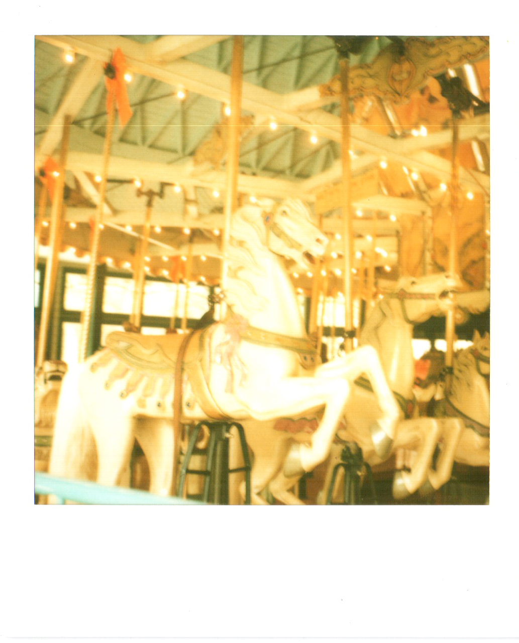polaroid carousel horse