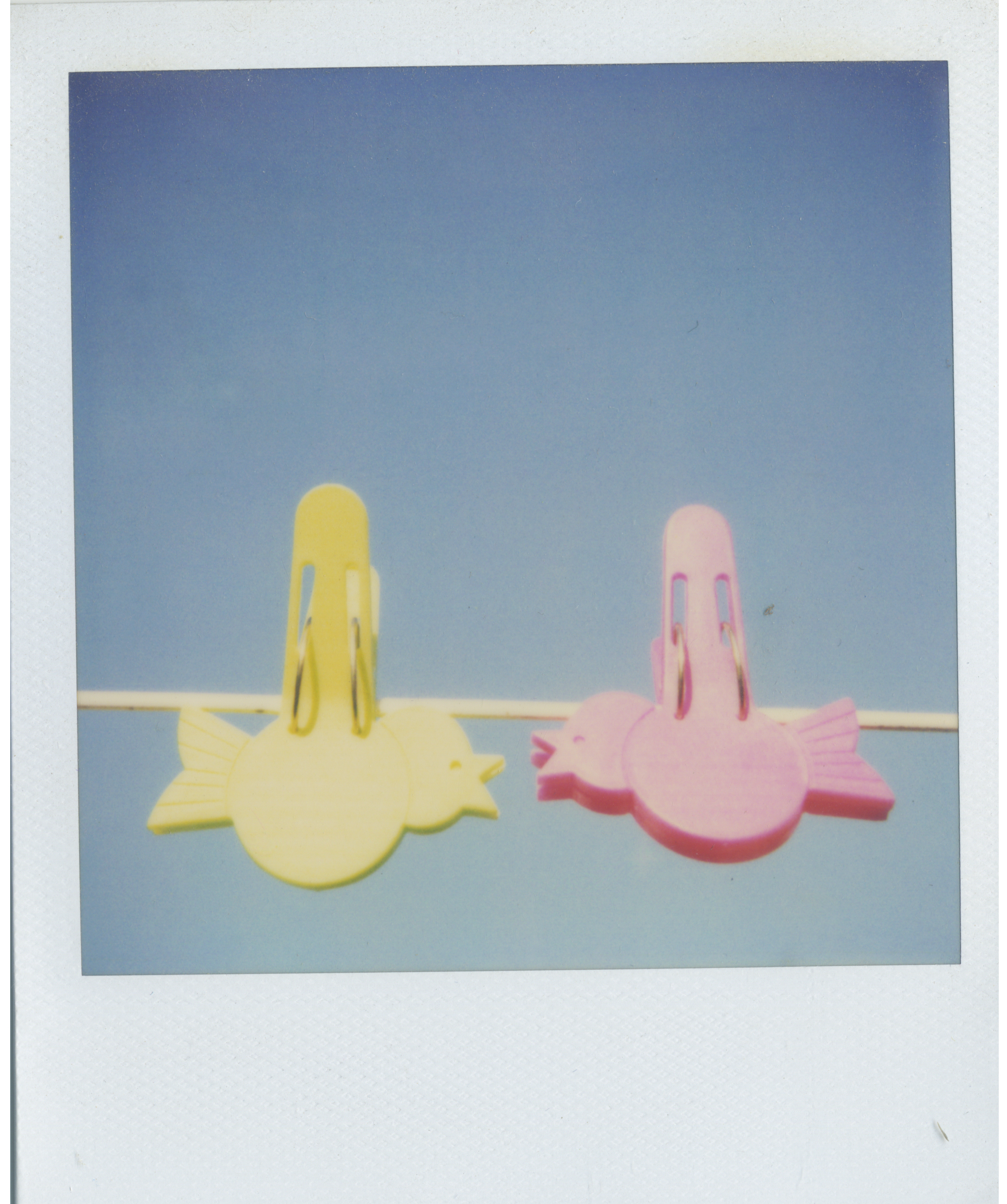 polaroid pink and green bird clips