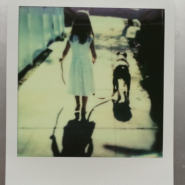 polaroid a girl and her dog