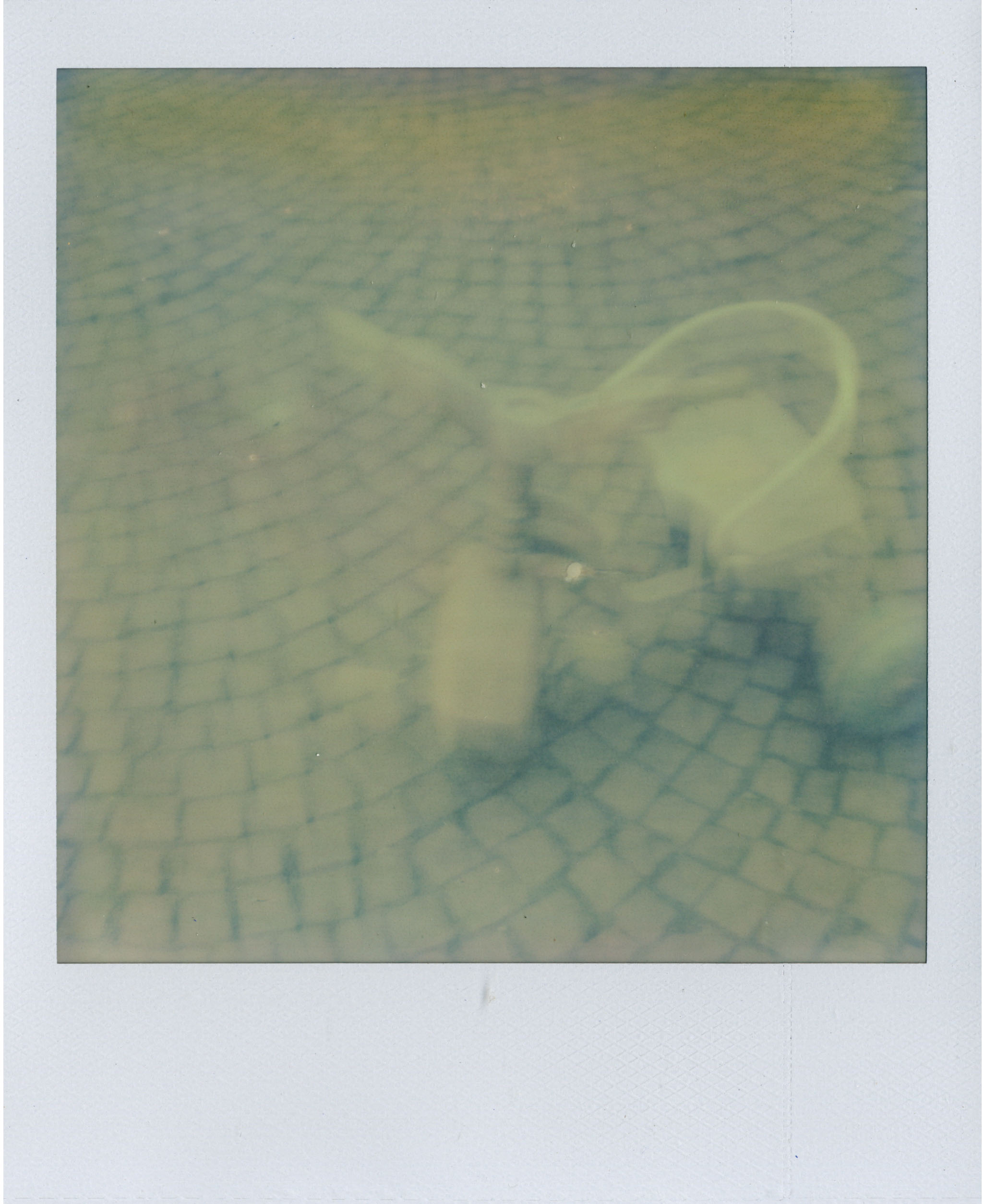 polaroid trycicle in italy