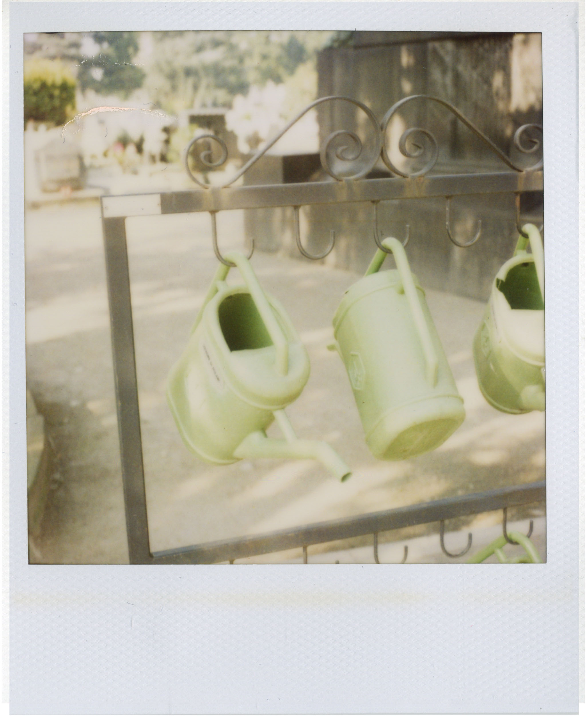 polaroid watering cans in cemetary in Milan