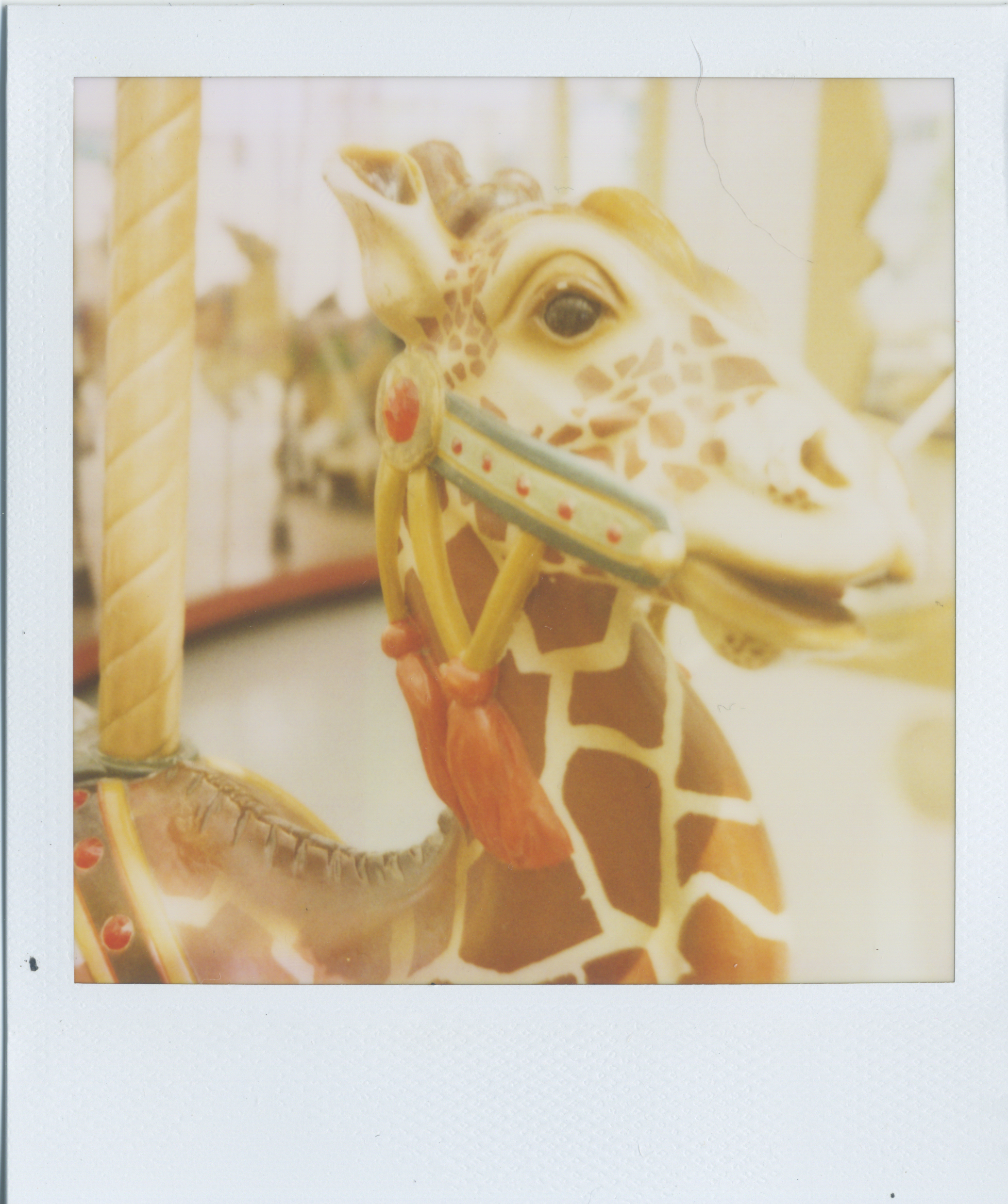 polaroid yerba buena carousel giraffe